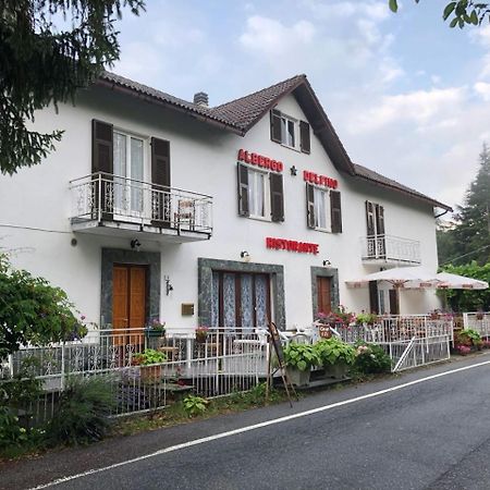 Albergo Delfino San Pietro d'Olba Exteriör bild